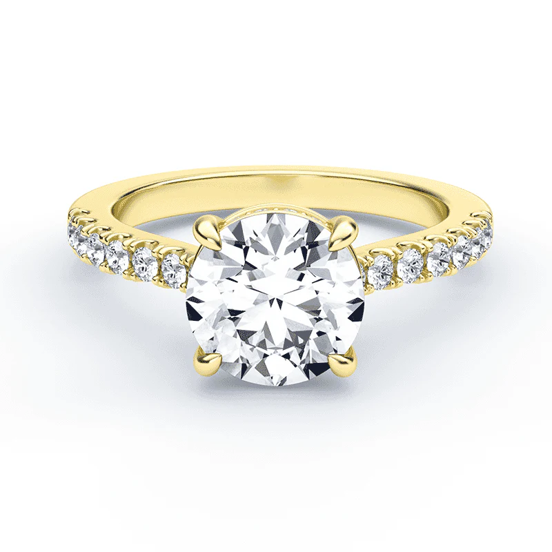 Cathedral Hidden Halo Pave Ring